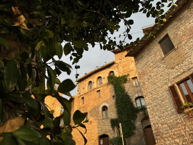 Becoming Your Best Professional&nbsp;Self